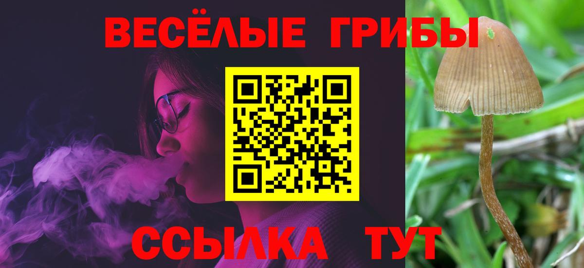 Псилоцибиновые грибы прущие грибы  где купить   Волжский  Вход с VPN 