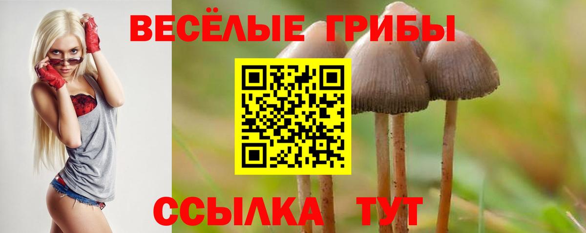 Галлюциногенные грибы мицелий Волжский
